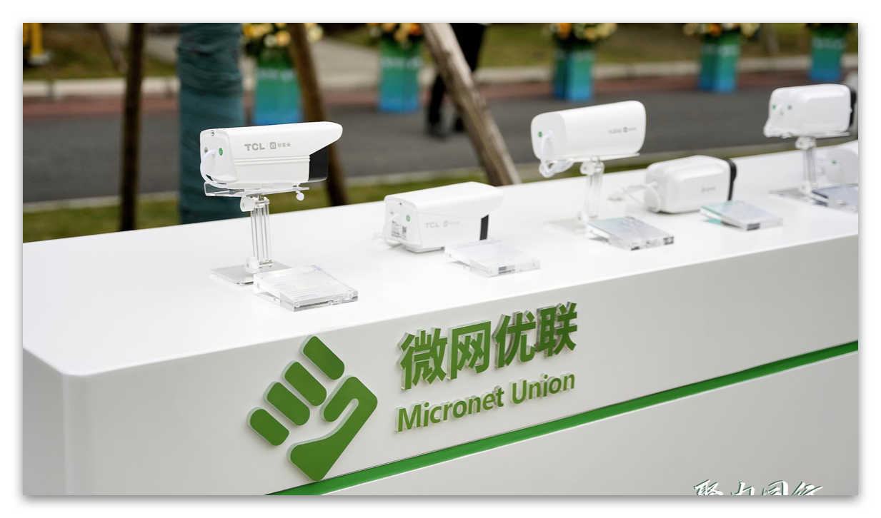 活动